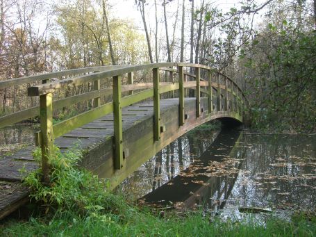 De Peel : NSG Mariapeel, Herbstimpressionen
